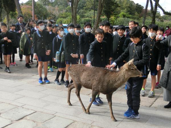 修学旅行2日目　奈良へ