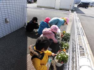 花の水やり