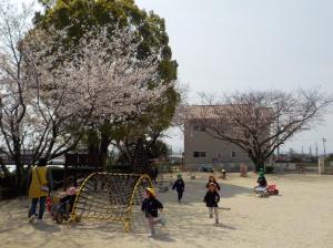 園庭の桜が咲いている様子