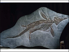 イクチオサウルス画像