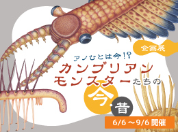 企画展「アノひとは今！？カンブリアンモンスターたちの今・昔」