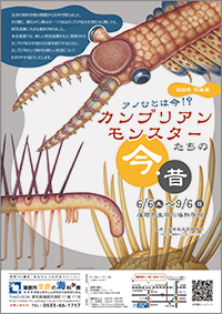 企画展「アノひとは今！？カンブリアンモンスターたちの今・昔」A4チラシ