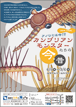 企画展「アノひとは今！？カンブリアンモンスターたちの今・昔」