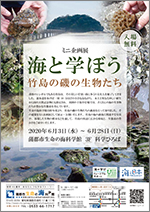 ミニ企画展「海と学ぼう ～竹島の磯の生物たち～」