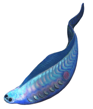 Qrコード展示解説 脊椎動物の登場 最初の魚 愛知県蒲郡市公式ホームページ