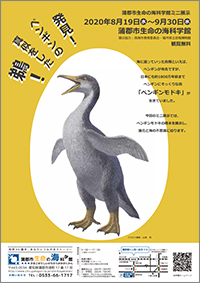 ミニ展示「発見！ペンギンの真似をした鵜！」A4チラシ