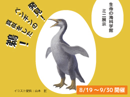 ミニ展示 発見 ペンギンの真似をした鵜 愛知県蒲郡市公式ホームページ