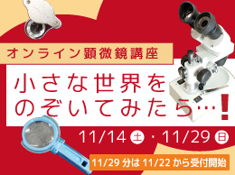オンライン顕微鏡講座　小さな世界をのぞいてみたら…！
