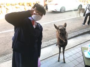 若草山　鹿といっしょ