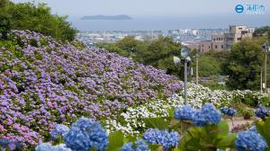 形原温泉　あじさいの里