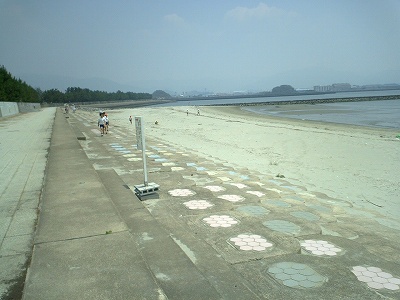 春日浦の砂浜海岸