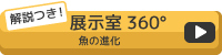 解説つき！展示室360度　魚の進化