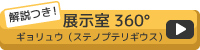 解説つき！展示室360度　ギョリュウ（ステノプテリギウス）