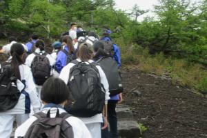ぞろぞろ登ります