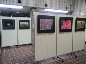 この写真は写真集団雲の作品展です。