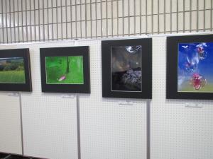 この写真は壁側の展示作品です。