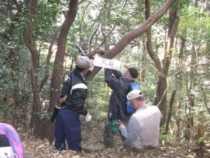 山友会