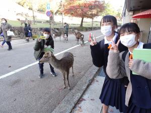 東大寺６