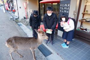 奈良公園