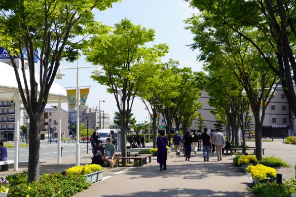 まち歩き（駅前広場）