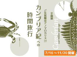 企画展「ご先祖様はアノマロカリス！？カンブリア紀への時間旅行」