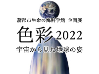 イメージ画像