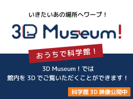 3D Museum!