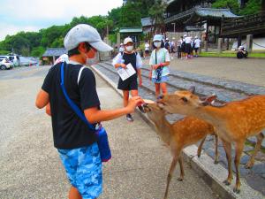 修学旅行１日目15