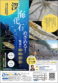 特別展「深海化石めざめる！ー魅惑の師崎層群ー」