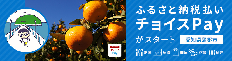 ふるさと納税払い チョイスPayがスタート（愛知県蒲郡市