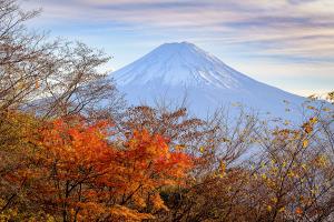 奥原哲雄「秋化粧」山梨県富士河口湖で撮影した作品です。