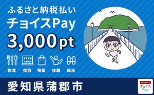 チョイスPay3000pt