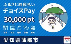 チョイスPay30000pt