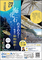 特別展「深海化石めざめる！ ー魅惑の師崎層群ー」