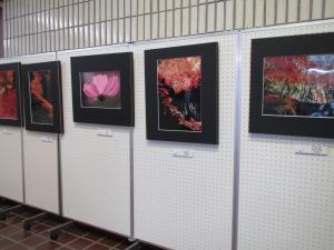 この写真は写真集団雲の作品展です。