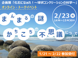 企画展「化石になぁれ！〜球状コンクリーションの科学〜」オンライン・トークイベント『まんまるの謎・かちこちの不思議について』