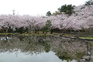 園内の様子です