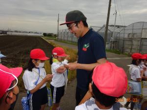 いちごハウス見学3