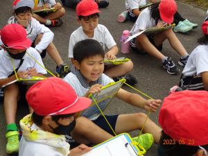 いちごハウス見学6