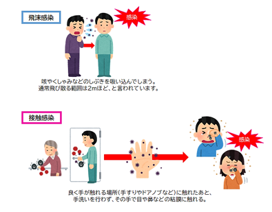 感染経路