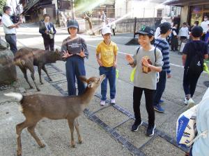 修学旅行4