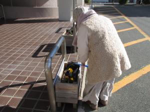 この写真はお花の水やりの様子です。