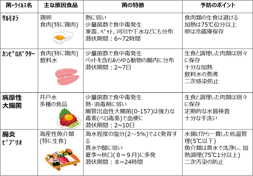 よくある食中毒原因菌やウイルスの特徴とその予防POINT１