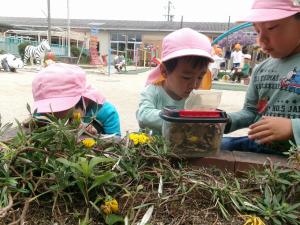 4歳児