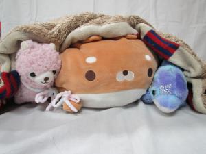 この写真は寝ようとしているぬいぐるみの様子です。