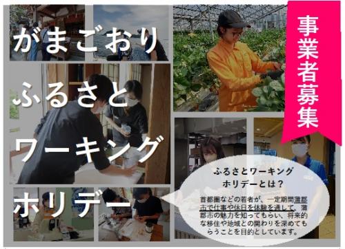 ふるさとワーキングホリデー事業者募集