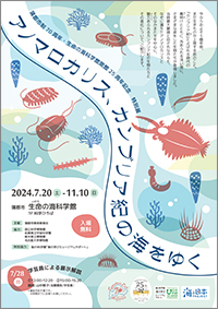 蒲郡市制70周年・生命の海科学館開館25周年記念特別展「アノマロカリス、カンブリア紀の海をゆく」チラシ（表）画像