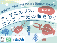 特別展「アノマロカリス、カンブリア紀の海をゆく」のサムネイル画像