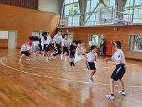 活動の様子