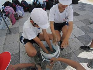 高学年３